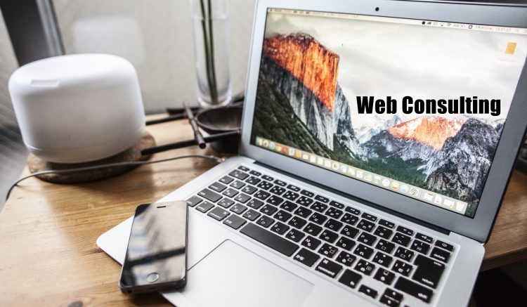 WebConsulting